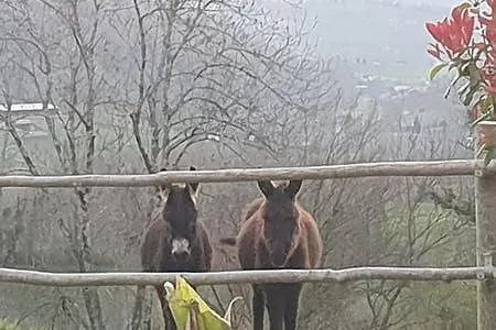 Etche Arguinia * Montory