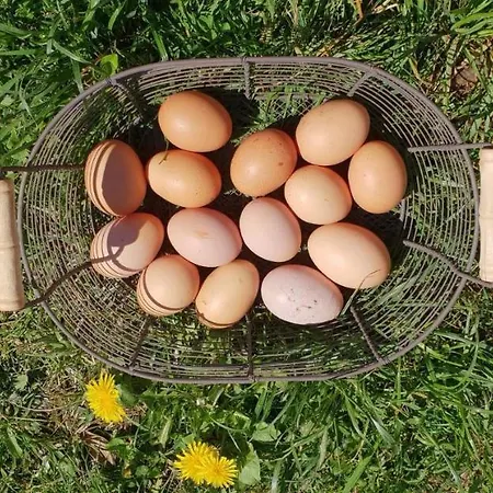 Etche Arguinia Holiday home *