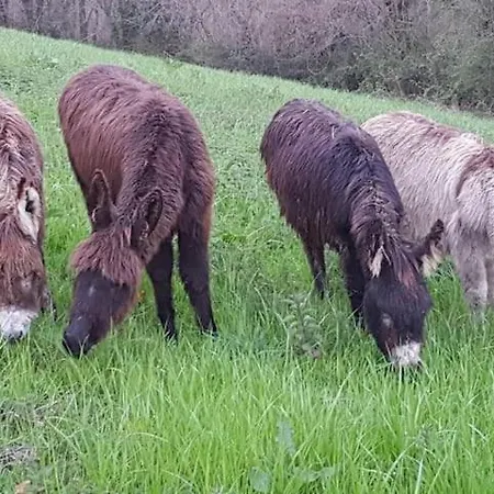 Etche Arguinia Holiday home