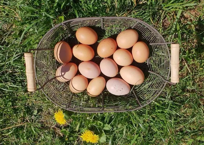 Etche Arguinia Prázdninový dům *