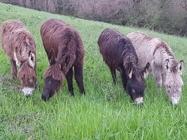 Etche Arguinia Сasa de vacaciones